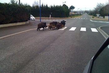 en ville